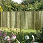 Featheredge Fence Panel