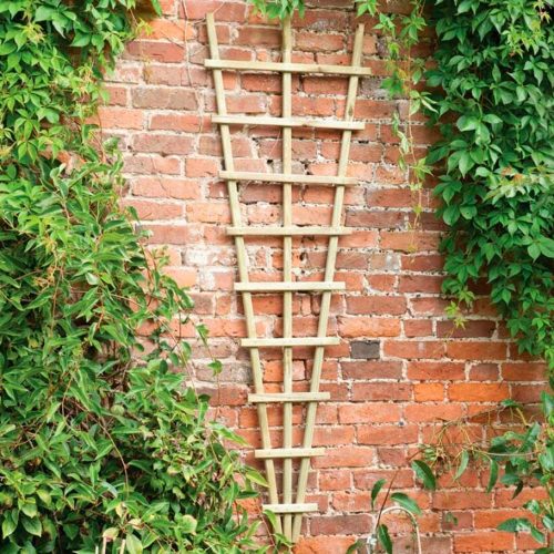 Softwood Traditional Fan Trellis