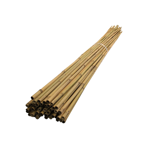 Stakes for Plants